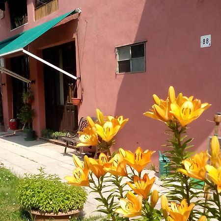 Ecogarden Camping With Rooms 젤라리노 외부 사진