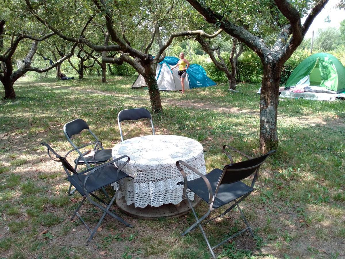 Ecogarden Camping With Rooms 젤라리노 외부 사진