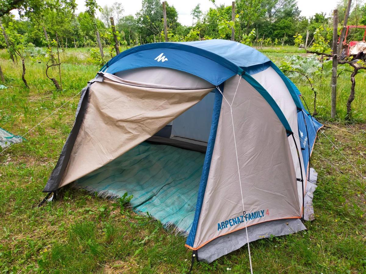 Ecogarden Camping With Rooms 젤라리노 외부 사진