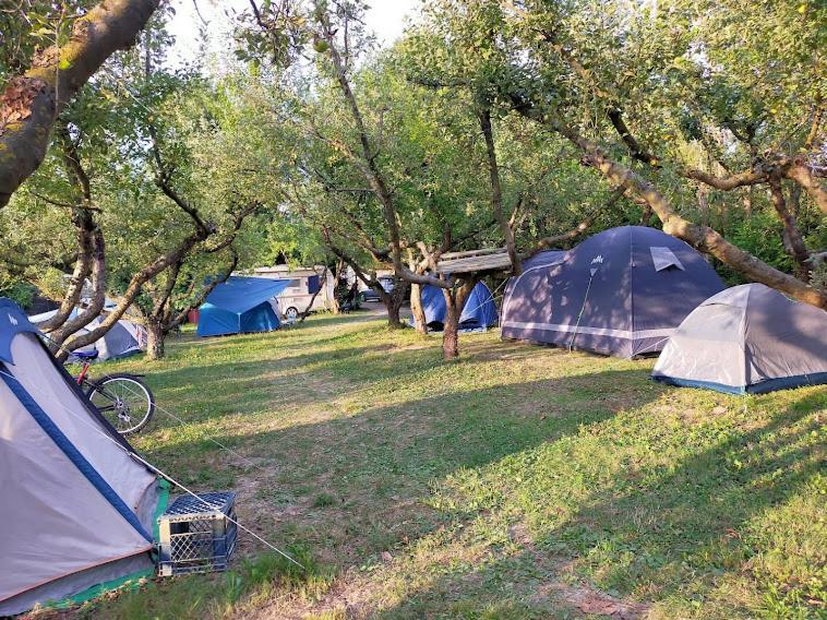 Ecogarden Camping With Rooms 젤라리노 외부 사진