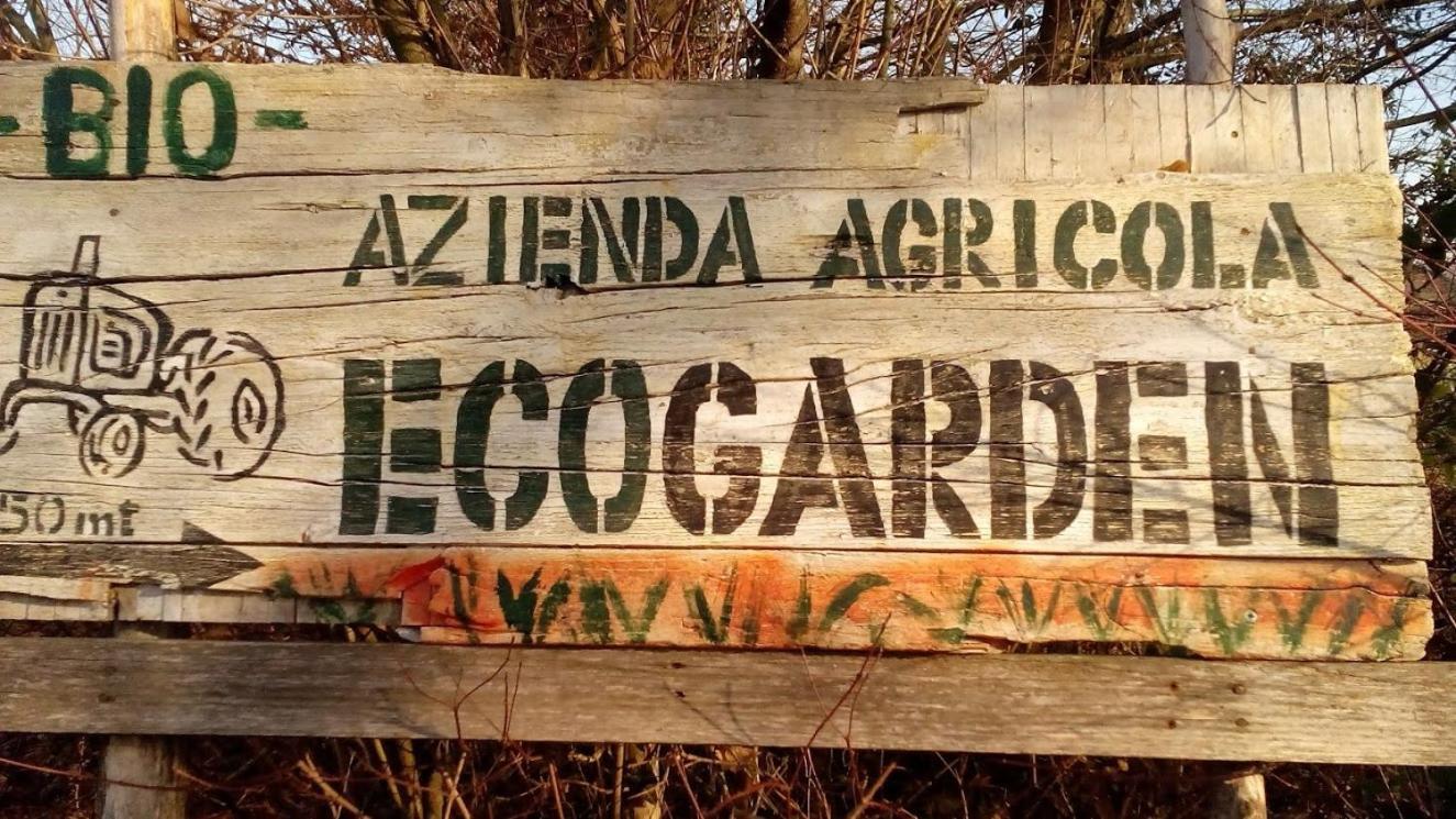 Ecogarden Camping With Rooms 젤라리노 외부 사진