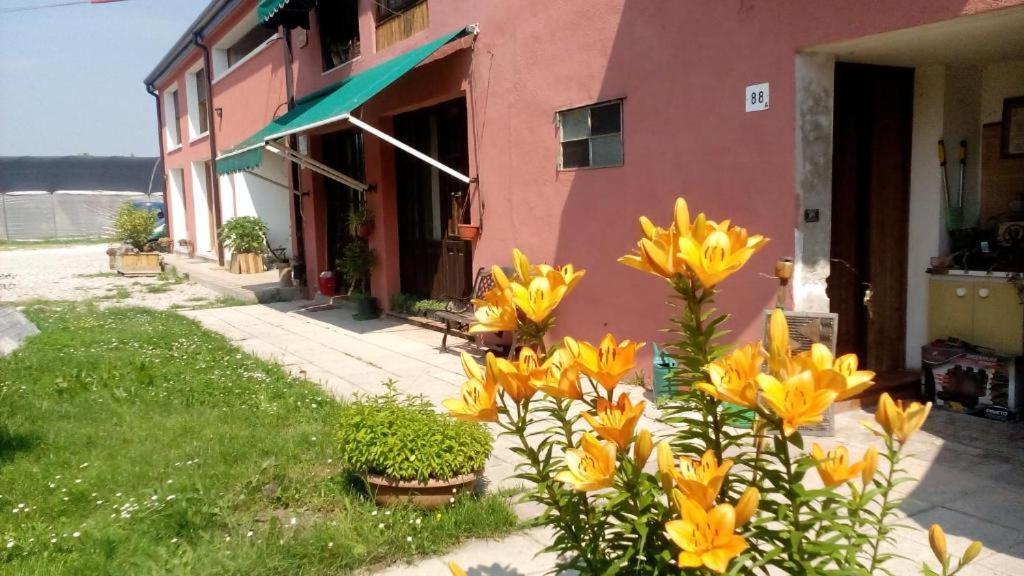 Ecogarden Camping With Rooms 젤라리노 외부 사진