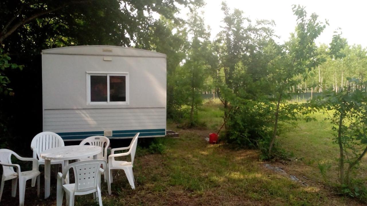 Ecogarden Camping With Rooms 젤라리노 외부 사진