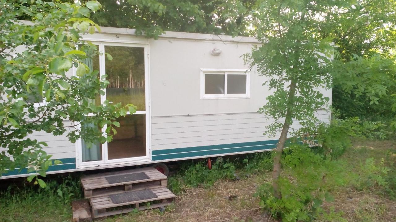 Ecogarden Camping With Rooms 젤라리노 외부 사진